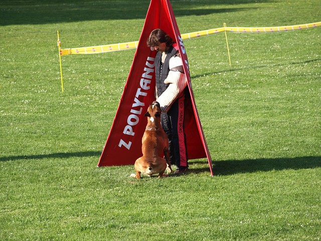 www.atibox.net * www.euroboxer.eu * www.boxergenealogia.eu